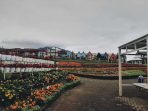 san terra