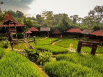 9 Tempat Wisata di Sentul yang Wajib Kamu Kunjungi Saat Liburan! 2 sawah segar 1