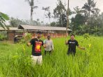 IMG 20250117 WA0022