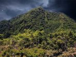 gunung wilis