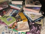 novel novel