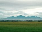 gunung