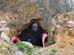 hantu homang