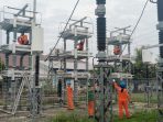 pln pln 3