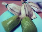 pudak pudak