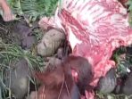 IMG 20250328 WA0026