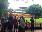IMG 20250402 WA0022