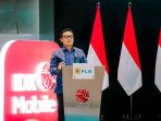 pln pln 3