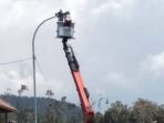 IMG 20250714 WA0018