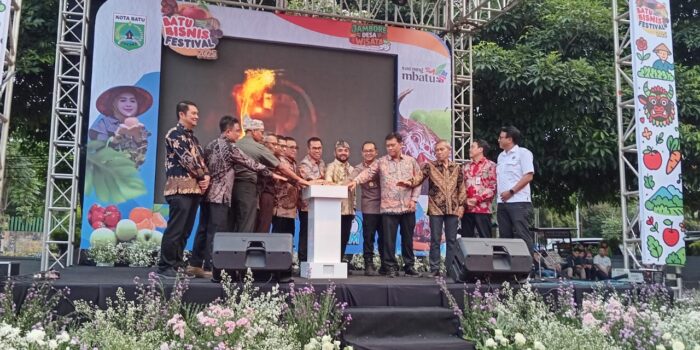 WhatsApp Image 2025 07 31 at 17.35.10