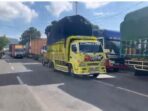 ketapang2 ketapang2
