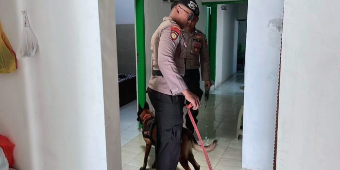 30a005d4 c845 44d1 8b61 61f5c74ecb60