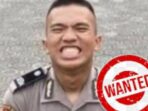 WANTED ALVIAN