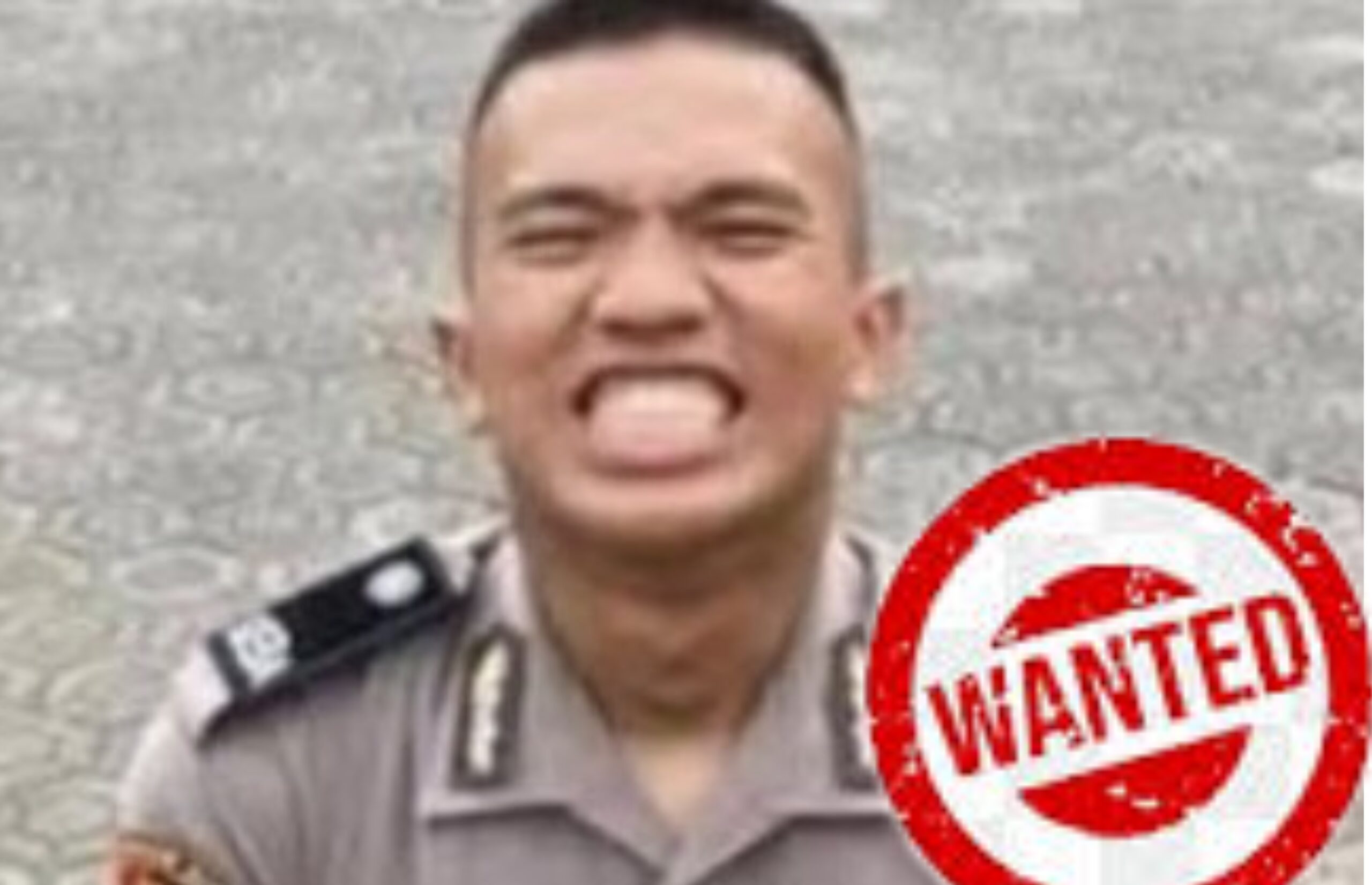 WANTED ALVIAN scaled