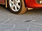 IMG_6754 IMG 6754