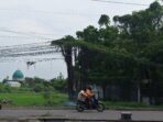 IMG 20251110 WA0014