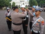 IMG 20251117 WA0010 1