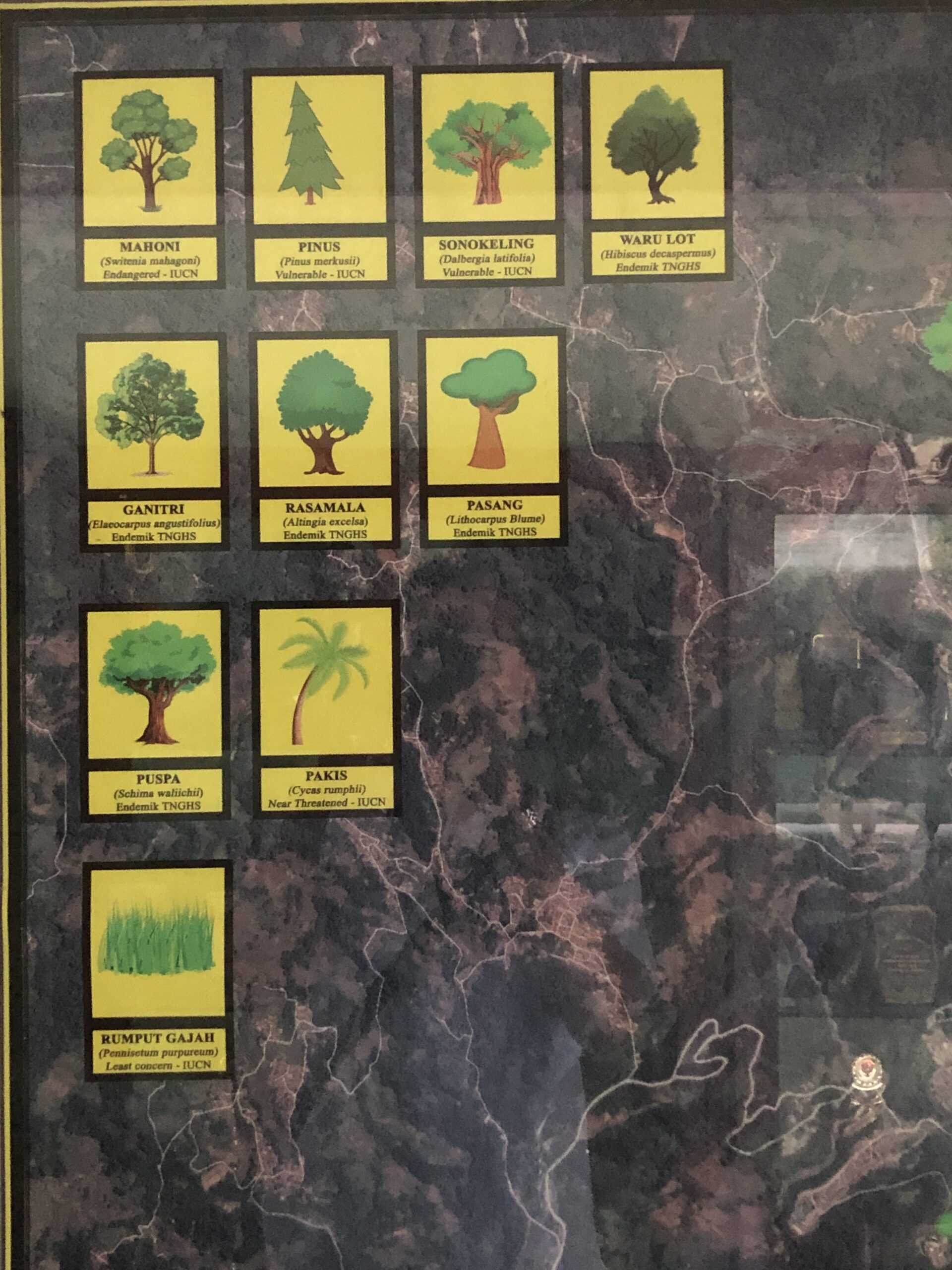 Reklamasi dan Revegetasi Bekas Tambang Emas Pongkor: Habitat Tanaman-Satwa Endemik 1 IMG 7421 scaled