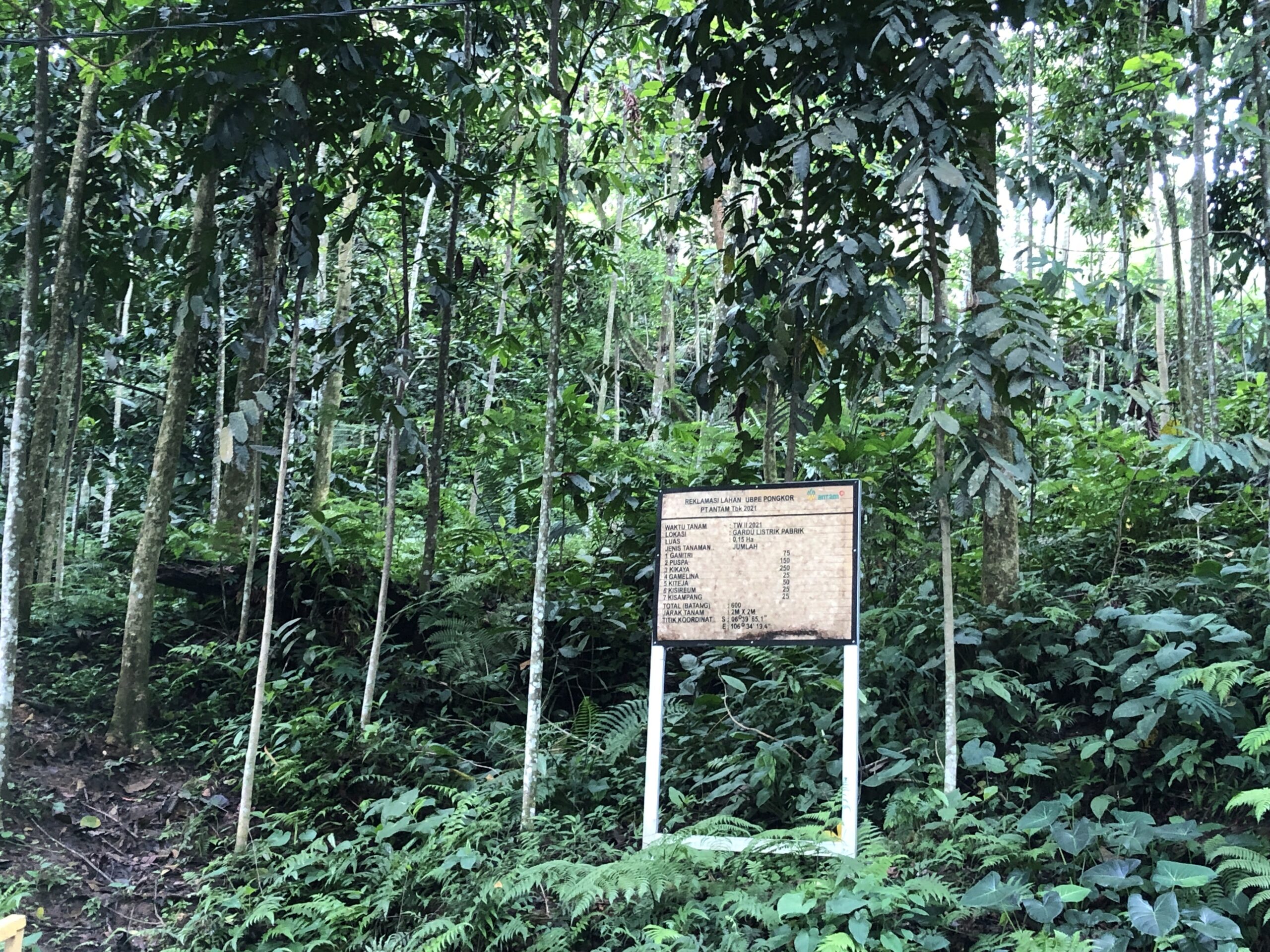 Reklamasi dan Revegetasi Bekas Tambang Emas Pongkor: Habitat Tanaman-Satwa Endemik 2 IMG 7447 scaled