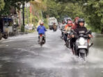 IMG_8360 IMG 8360