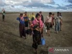 Rohingya.jpg