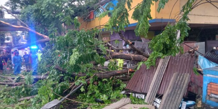 3f156de6 403d 4e77 84c4 fa09ab7a2acd