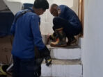 IMG_8645 IMG 8645