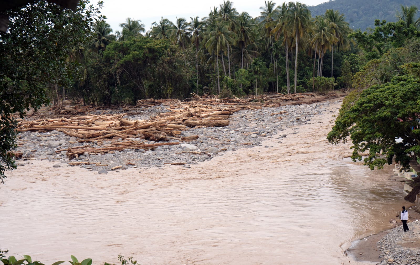 Bencana Banjir Bandang di Sumbar karena Deforestasi Bukit Barisan 2 banjir2