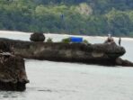 pemancing