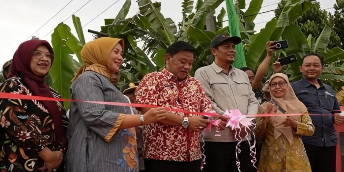 815150a7 020c 40c5 b38c d50c2c77b515