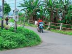 990d5603-23fa-4c78-b35a-ff6c72c8a26a 990d5603 23fa 4c78 b35a ff6c72c8a26a