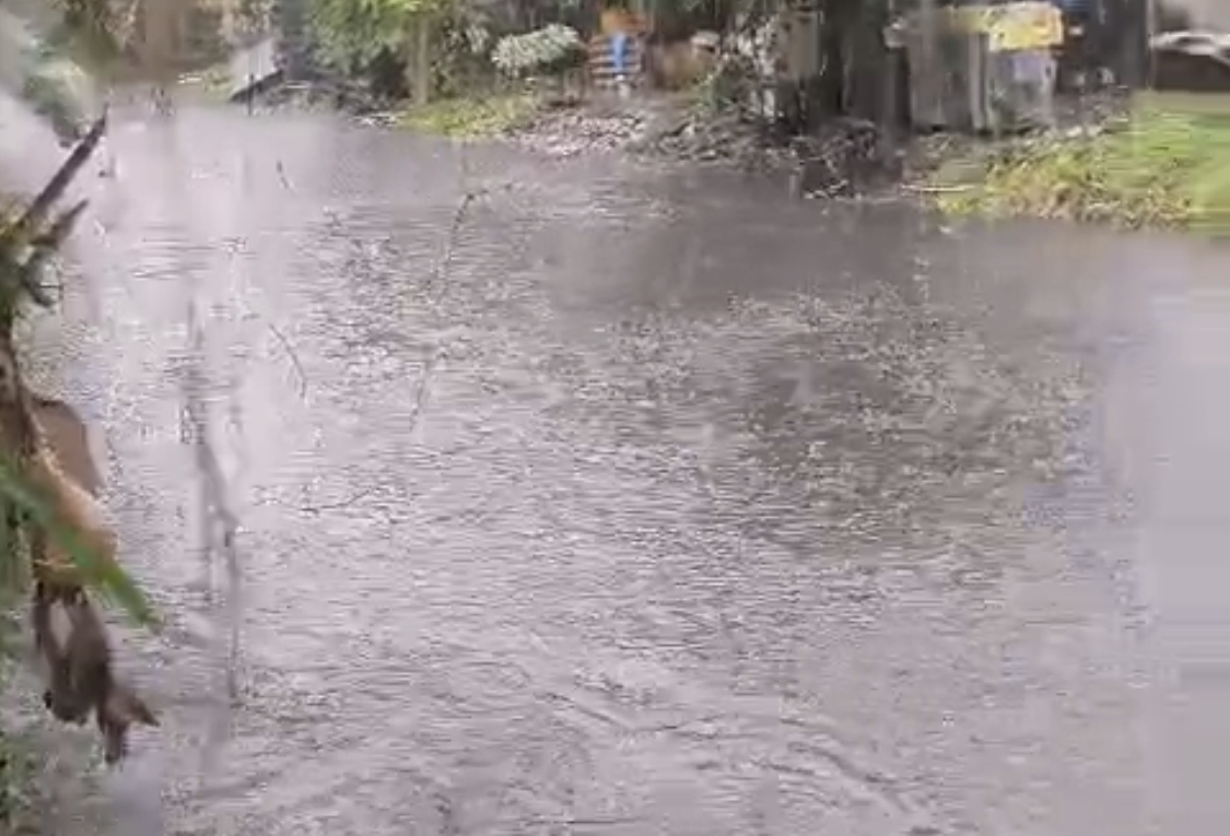 Hujan Angin Terjang Wilayah Gresik, Pohon Tumbang hingga Bekas Perlintasan KA Jadi Sungai Dadakan 1 IMG 9390
