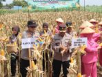 magetan magetan