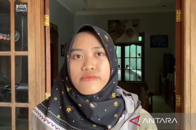 HEWAN KUCING