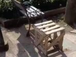 IMG 20260216 WA0005