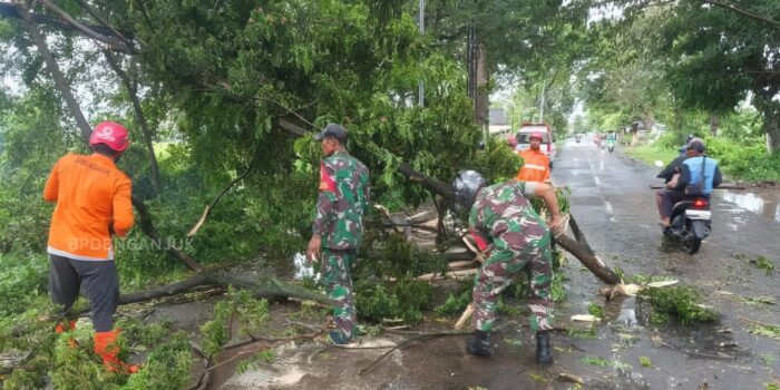 Sat set BPBD Bersihkan Pohon Tumbang saat Nganjuk Dilanda Angin Kencang 1 WhatsApp Image 2026 02 05 at 8.27.12 AM 1