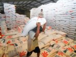 bulog Stok beras Bulog Banyuwangi tembus 100 ribu ton, aman selama Ramadan