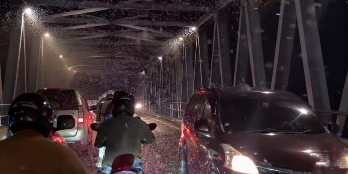 Viral Koloni Laron Serbu Jembatan Kertosono, Lalu Lintas Sempat Macet 1 WhatsApp Image 2026 03 03 at 8.39.22 AM 1